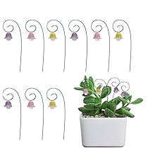 スマイル　フラワーピック imgrc0093454977.jpg